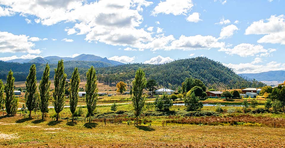 Alpine Angus farms are local to many of our clients