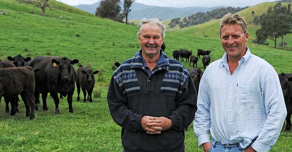 Chris visiting Alpine Angus customer Ken Nankerviss