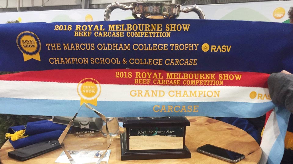 2018 Royal Melbourne Show ribbon and trophies