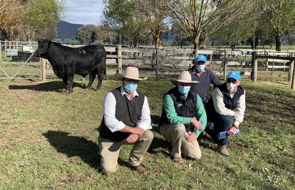 Alpine Angus smashes 10 year record