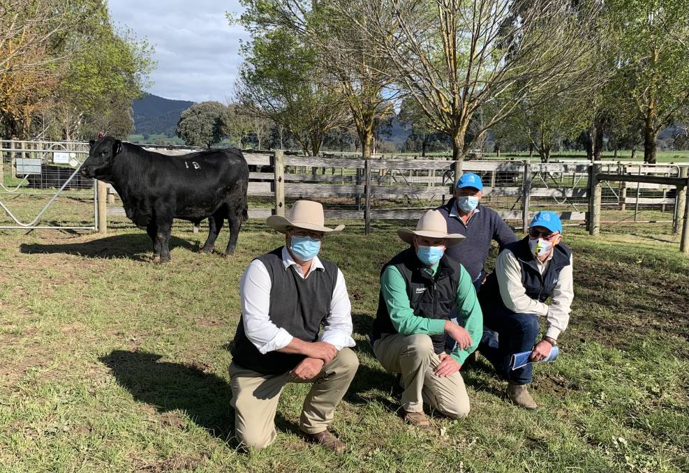 Spring Bull Sale $75,000 top-priced bull