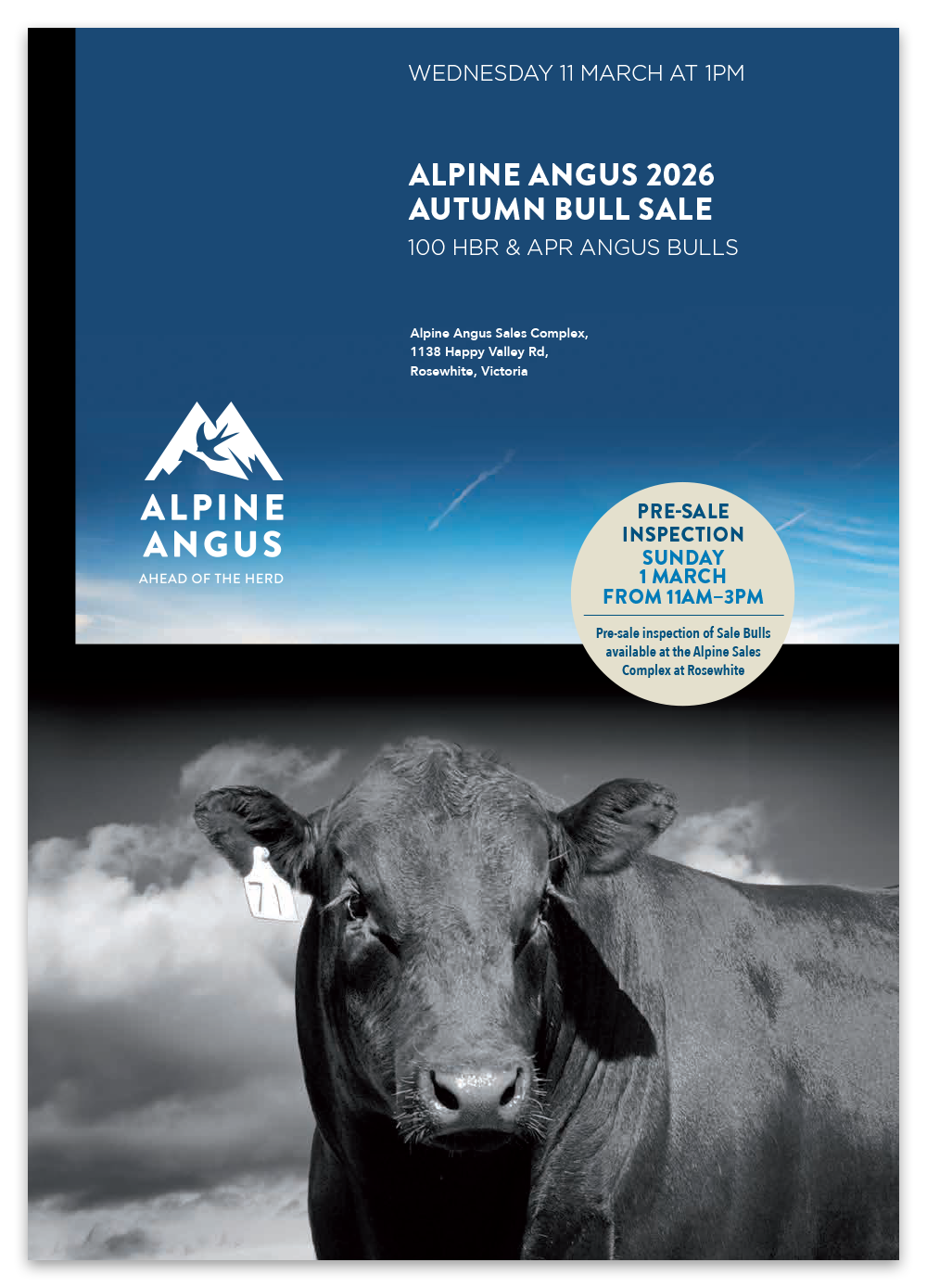 Alpine Angus catalogue